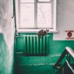 purger radiateur